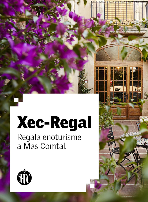 MAS233 Web Xec Regal Mod12