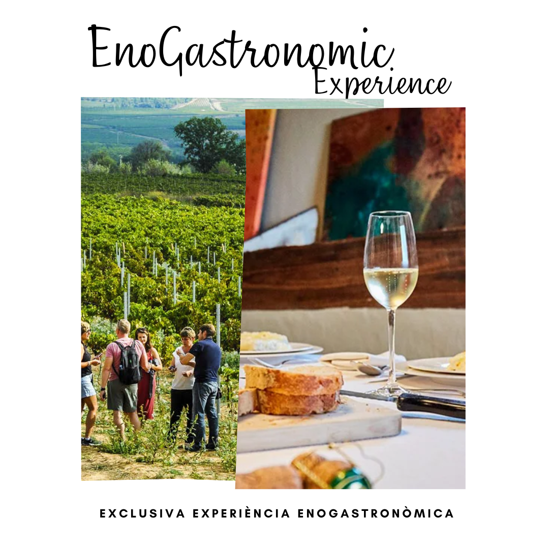 ENOGASTRONOMIC Exp _ Banner